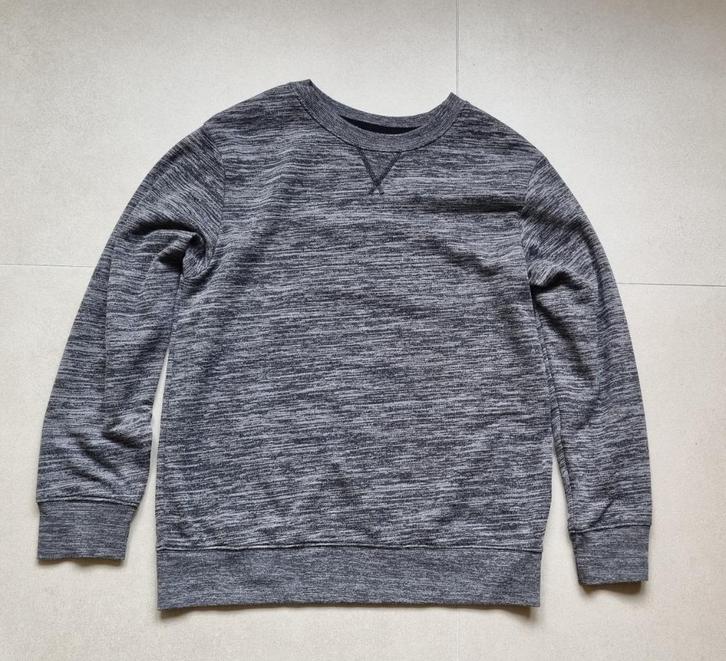 Sweater grijs, Kinderen en Baby's, Kinderkleding | Maat 170, Gebruikt, Jongen, Trui of Vest, Ophalen of Verzenden