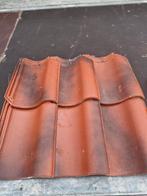 Holandse pan herfskleur, Enlèvement