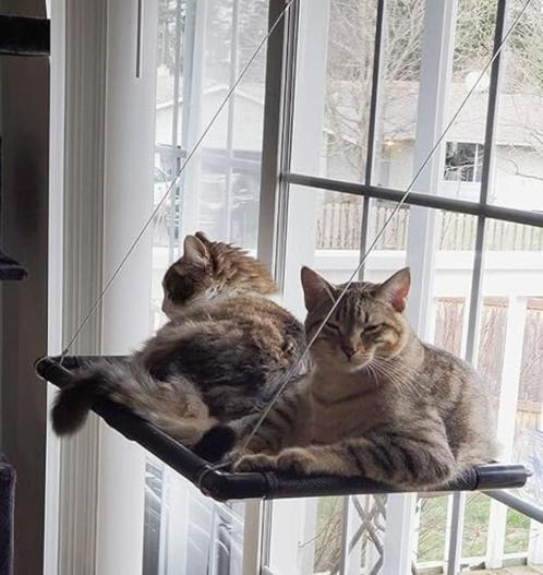 Kattenhangmat voor ramen GRATIS LEVERING, Dieren en Toebehoren, Katten-accessoires, Nieuw, Verzenden