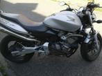 moto, Naked bike, 600 cm³, 4 cylindres, Particulier