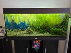 Aquarium Juwel Rio 180 + meuble, Dieren en Toebehoren, Ophalen of Verzenden, Gebruikt