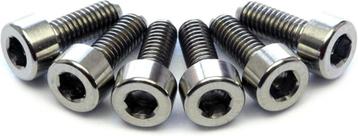 6 Floyd Rose / Ibanez Intonation Locking Screws beschikbaar voor biedingen