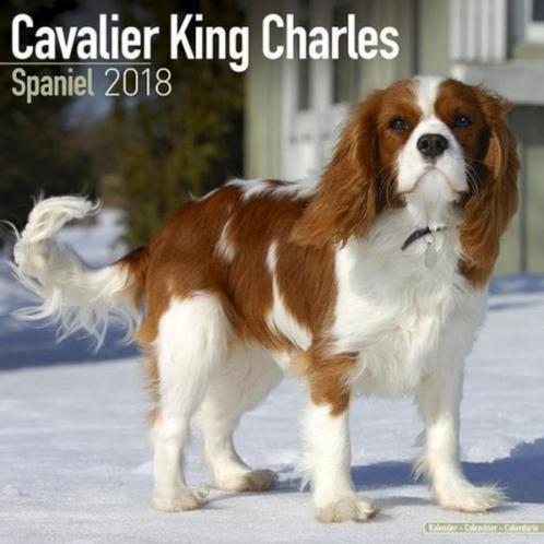 Calendrier Cavalier King Charles Spaniel 2018, Divers, Calendriers, Neuf, Calendrier annuel, Envoi