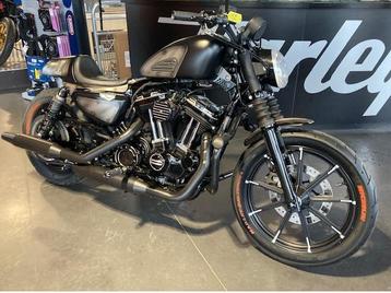 Harley-Davidson XL883 N (bj 2016)