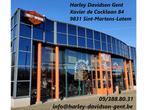 Harley-Davidson Chopper SOFTAIL STANDARD - FXST - NIEUW 2022, Motoren, 1745 cc, Bedrijf, Meer dan 35 kW, Overig