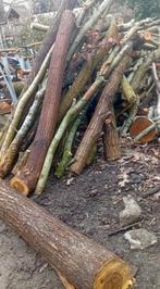 Brand hout te koop, Enlèvement