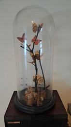 Vlinders onder stolp, Enlèvement ou Envoi, Comme neuf