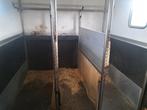 Tussen wanden paarden vrachtwagen