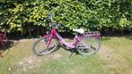 fiets 24", Ophalen, Gebruikt, 24 inch, BikeFun Kids (BFK)