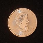 1 oz zilveren maple leaf 2016 canada, Postzegels en Munten, Verzenden, Zilver