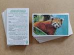 Going Wild complete set 40 chromos dieren Brooke Bond 1994, Ophalen of Verzenden, 1980 tot heden, Dier