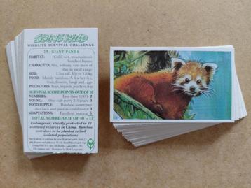 Going Wild complete set 40 chromos dieren Brooke Bond 1994 beschikbaar voor biedingen
