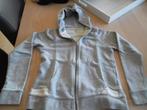America Today Hoodies, Kleding | Dames, America Today, Ophalen of Verzenden, Zo goed als nieuw, Maat 38/40 (M)