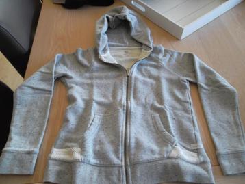 America Today Hoodies, Kleding | Dames, America Today, Ophalen of Verzenden, Zo goed als nieuw, Maat 38/40 (M)