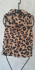Teddybody. Maat M, Kleding | Dames, Bodywarmers, Ophalen of Verzenden, Nieuw, Maat 38/40 (M)