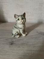 Kleine gestreepte kat, Ophalen, Gebruikt, Dier