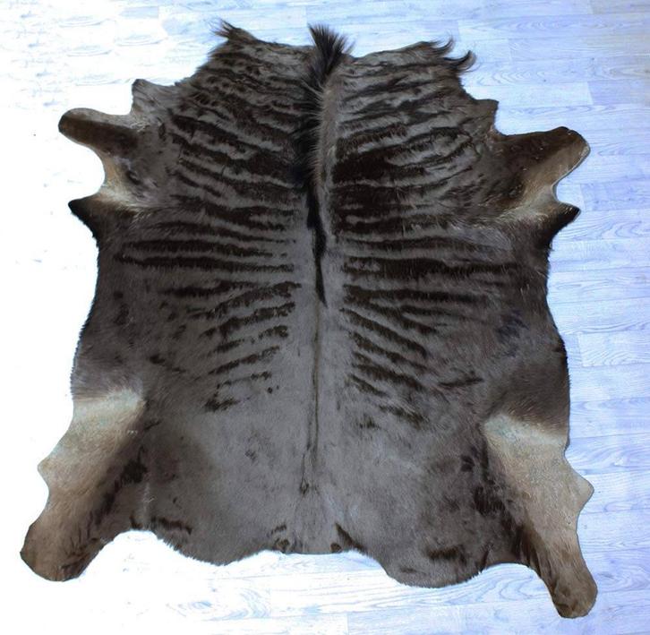 Zgan VEL GESTREEPTE GNU / WILDEBEEST (geen koeienvel), Verzamelen, Dierenverzamelingen, Zo goed als nieuw, Overige typen, Wild dier