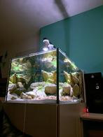 Aquarium te koop (optiwhite), Dieren en Toebehoren, Vissen | Aquaria en Toebehoren, Ophalen, Gebruikt, Leeg aquarium