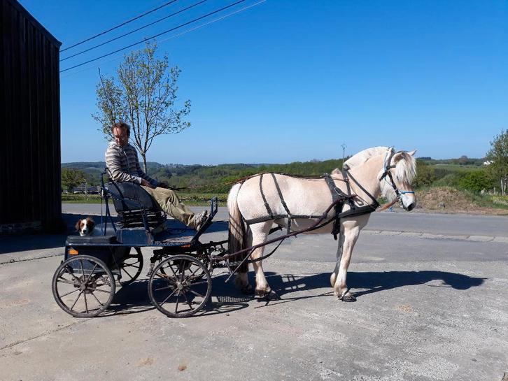 Kuhnle Marathon-koets, Dieren en Toebehoren, Rijtuigen en Koetsen, Gebruikt, Marathonwagen, Pony