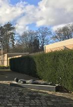 bronzen beeld van naakte vrouw op steen, Ophalen