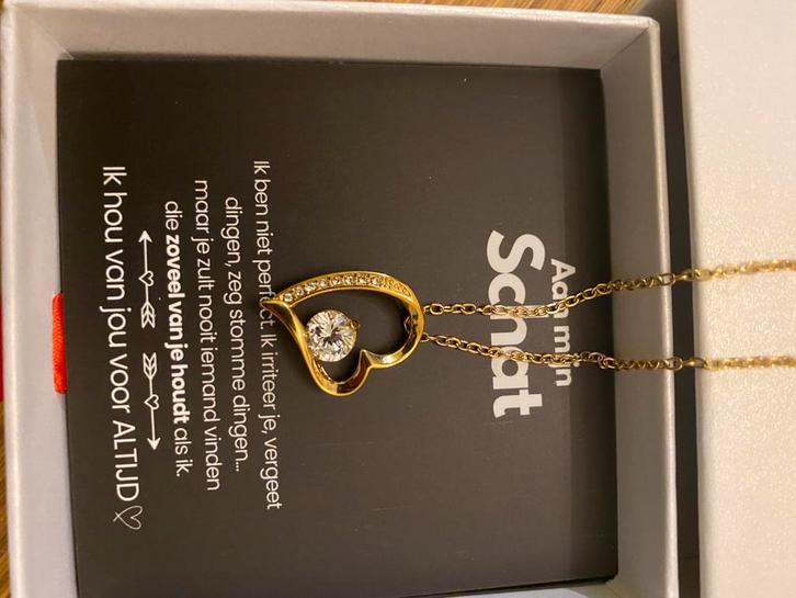 Forever love ketting, Bijoux, Sacs & Beauté, Colliers, Neuf, Autres matériaux, Or, Avec pendentif, Réglable, Enlèvement ou Envoi