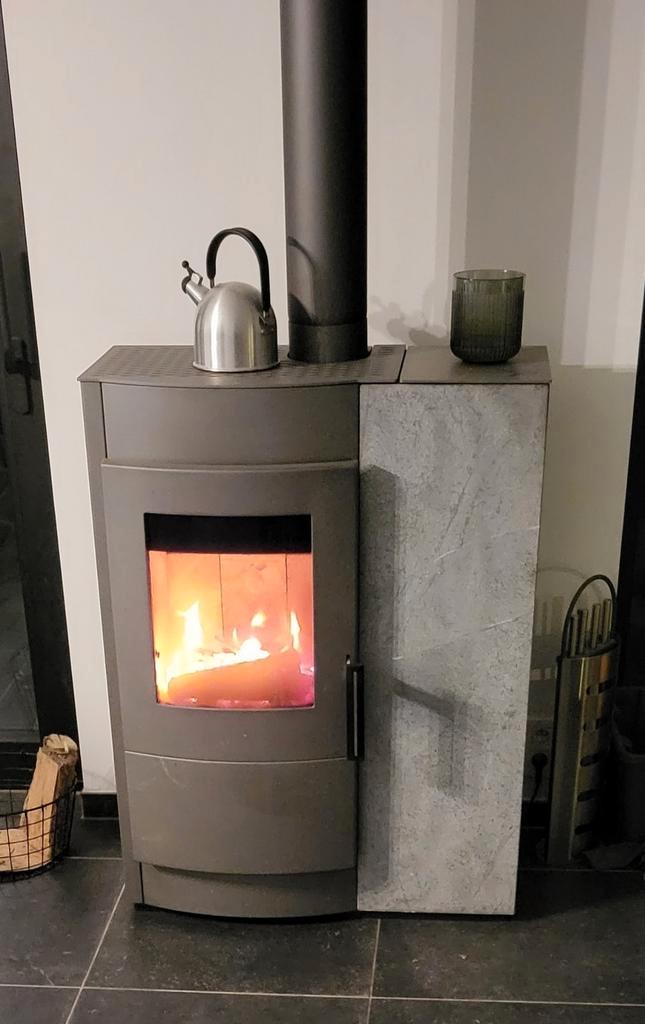 Rika Induo, pellet en houtkachel, Huis en Inrichting, Haarden, Gebruikt, Ophalen