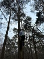 Bomen vellen en snoeien, Ophalen