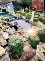 Opvang pluimvee kippen ganzen eenden duiven enz, Dieren en Toebehoren