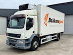 DAF LF 55.250 18T KOELWAGEN (bj 2009), Overige brandstoffen, Bedrijf, DAF, Euro 4