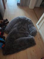 Zetel kussen voor honden, Ophalen, Zo goed als nieuw