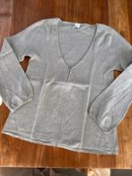 Vest vintage maat XL, Kleding | Dames, Maat 46/48 (XL) of groter, Ophalen of Verzenden, Zo goed als nieuw, Grijs