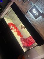 Aquarium met pomp en al te koop, Dieren en Toebehoren, Ophalen, Zo goed als nieuw