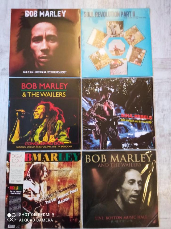 SIN89/Reggae/SKA/DUB, Cd's en Dvd's, Vinyl | Overige Vinyl, Zo goed als nieuw, 12 inch, Ophalen of Verzenden