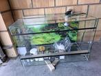 Terrarium als nieuw krasvrij, Dieren en Toebehoren, Ophalen, Zo goed als nieuw