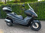 Honda Forza 300 abs, Motoren, Scooter, 300 cc, Bedrijf, 1 cilinder
