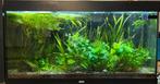 Aquarium Juwel noir de 360 litres., Ophalen, Gebruikt