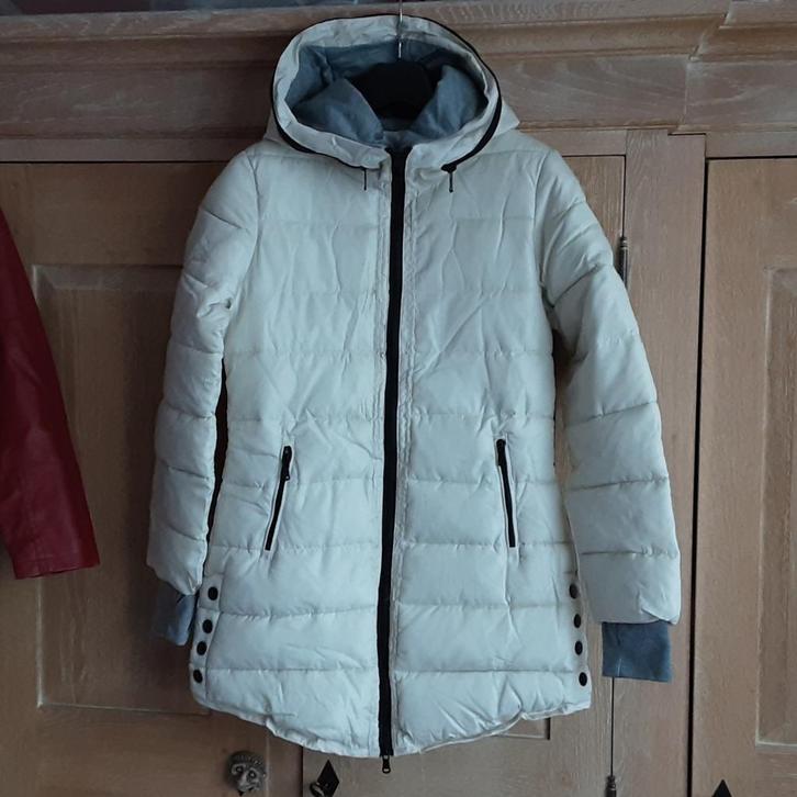 SPLINTERNIEUW mooi getallieerd gewatteerd winterjas M/S, Kleding | Dames, Jassen | Winter, Nieuw, Maat 38/40 (M), Ophalen of Verzenden