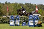 2 y ruin Pegase vh ruytershof X Lavalino, Dieren en Toebehoren