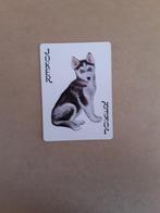 Jokers Mooie hond, Ophalen of Verzenden, Nieuw, Joker(s)