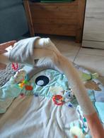 playgro pinguïn speelmat, Kinderen en Baby's, Ophalen, Gebruikt