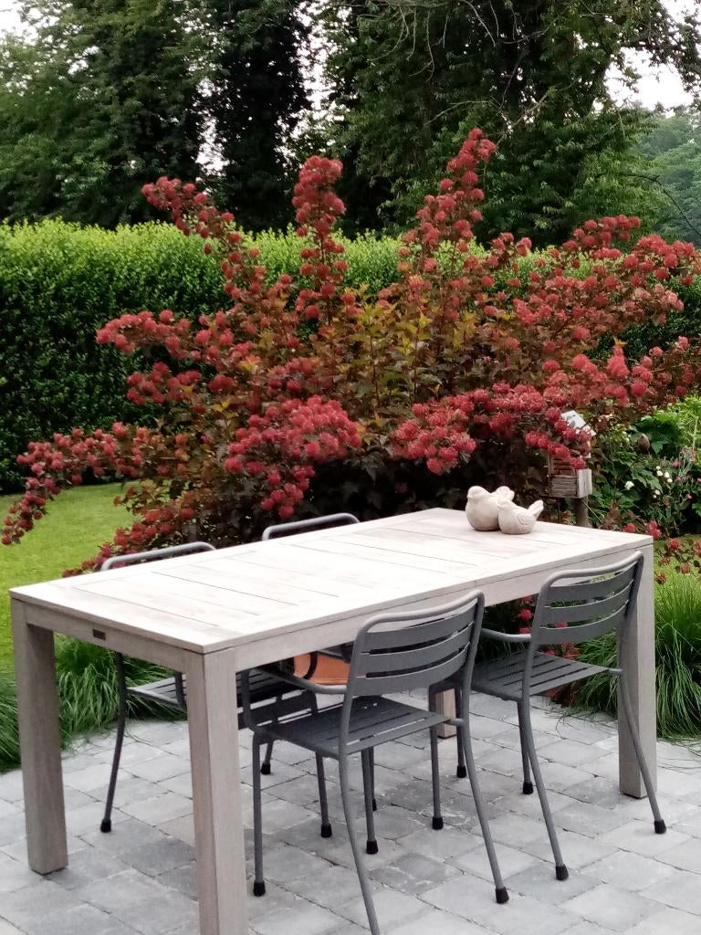 Table de jardin en teck gris, Enlèvement