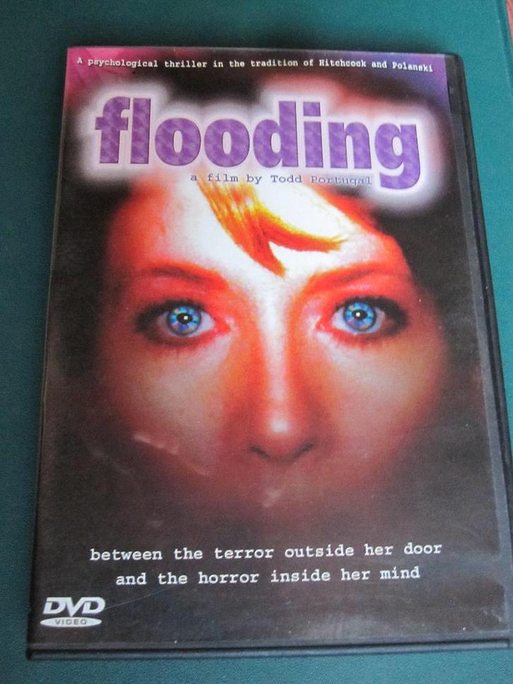 Inondations, CD & DVD, DVD | Thrillers & Policiers, Comme neuf, Thriller d'action, À partir de 16 ans, Enlèvement ou Envoi