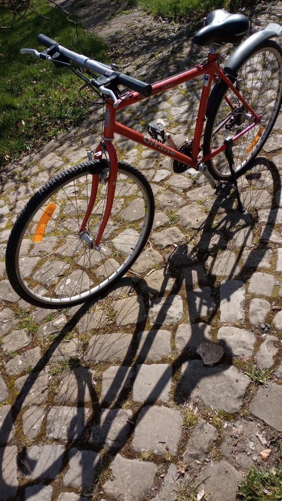 Gitane Syrius, Enlèvement