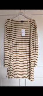 Truitje Vila small, Kleding | Dames, Truien en Vesten, Ophalen of Verzenden