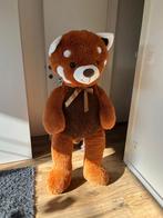 Knuffelbeer, Enlèvement