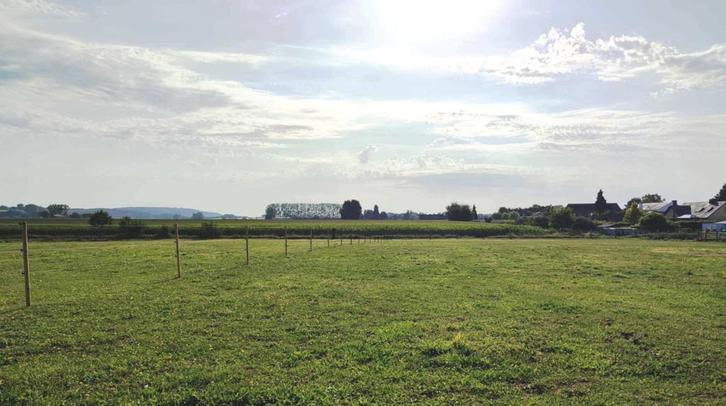 Weiden te huur, Dieren en Toebehoren, Stalling en Weidegang, Stalling, Weidegang, 4 paarden of pony's of meer