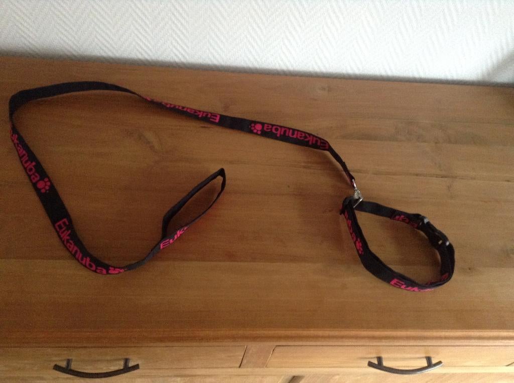 Collier et laisse pour chien, Animaux & Accessoires, Enlèvement ou Envoi, Comme neuf