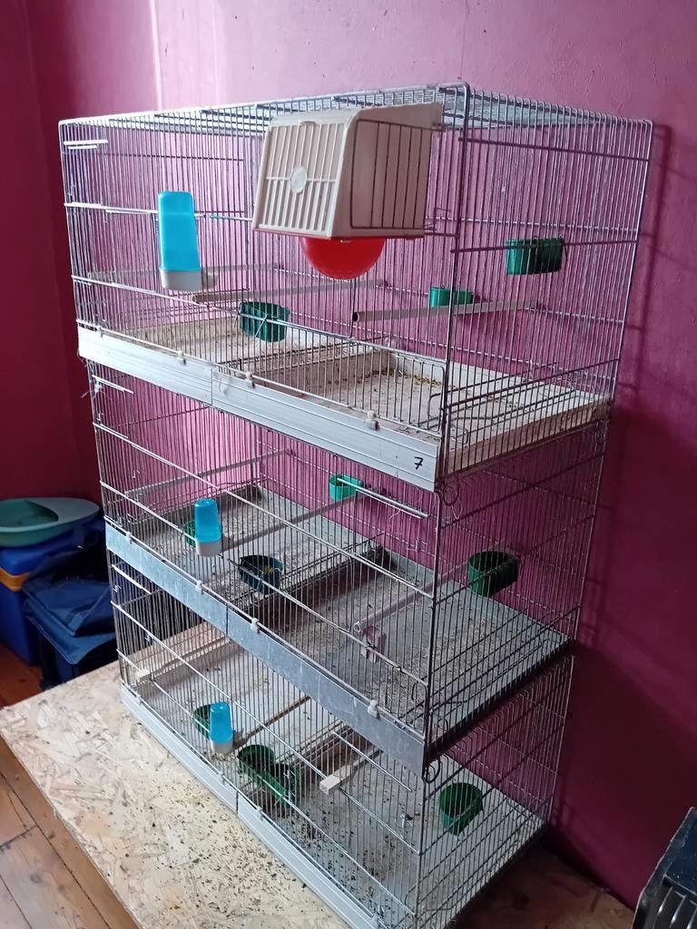 3 kweekkooien 90 x 40 x40 en 7 tentoonstellings kooien, Animaux & Accessoires, Oiseaux | Oiseaux Autre