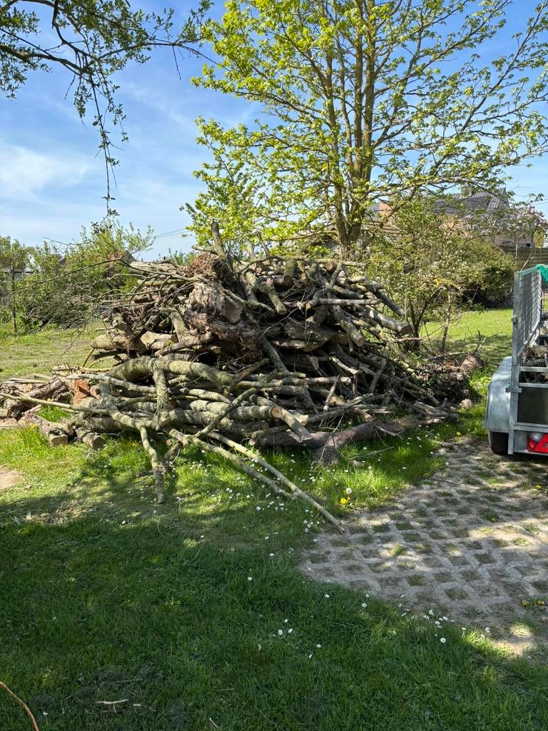 Gratis brandhout, Enlèvement