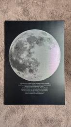 Beeld Maan Van IKEA, Antiek en Kunst, Ophalen